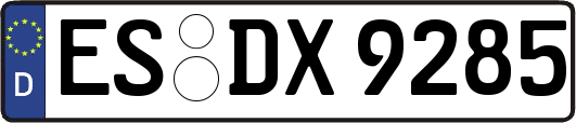 ES-DX9285
