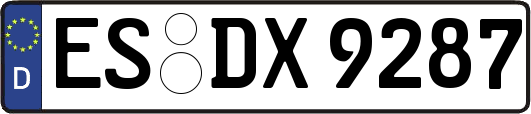 ES-DX9287