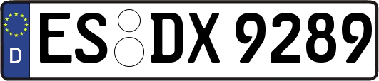 ES-DX9289