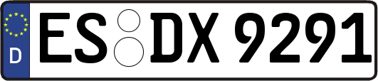 ES-DX9291