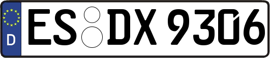 ES-DX9306