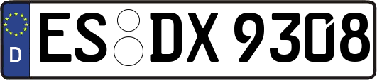 ES-DX9308