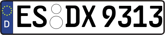 ES-DX9313