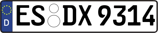 ES-DX9314