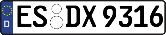 ES-DX9316