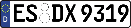 ES-DX9319