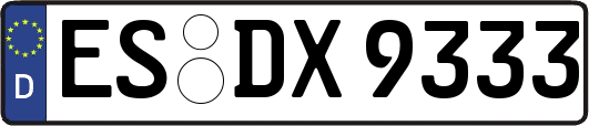 ES-DX9333