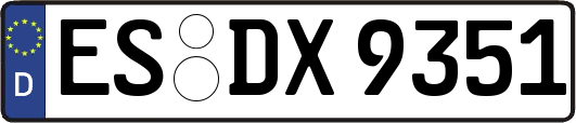 ES-DX9351