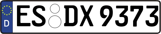 ES-DX9373
