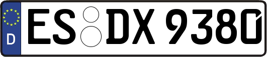 ES-DX9380