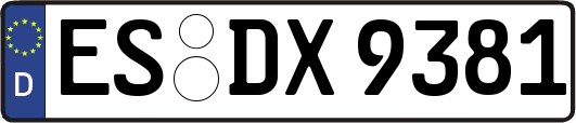 ES-DX9381