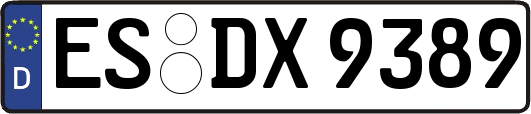 ES-DX9389