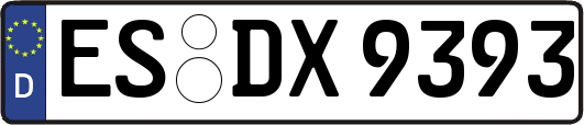 ES-DX9393