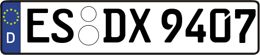 ES-DX9407