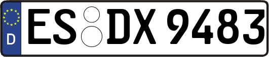 ES-DX9483
