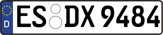 ES-DX9484