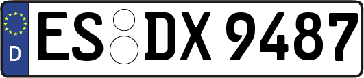 ES-DX9487