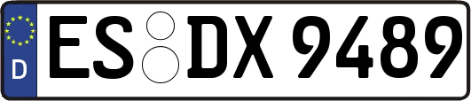 ES-DX9489
