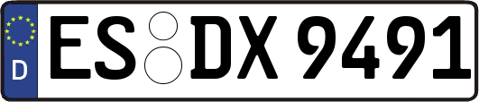 ES-DX9491