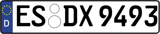 ES-DX9493