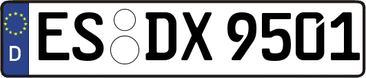 ES-DX9501
