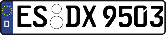 ES-DX9503