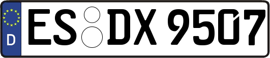 ES-DX9507