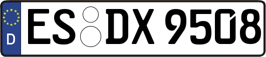 ES-DX9508