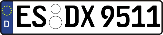 ES-DX9511
