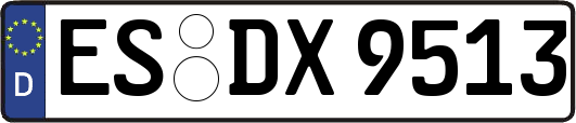 ES-DX9513