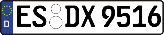 ES-DX9516