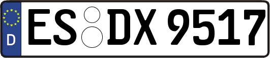 ES-DX9517