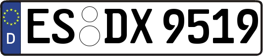 ES-DX9519