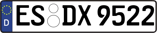 ES-DX9522