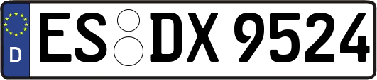 ES-DX9524