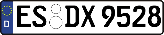 ES-DX9528