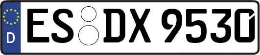 ES-DX9530