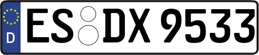 ES-DX9533