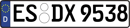 ES-DX9538