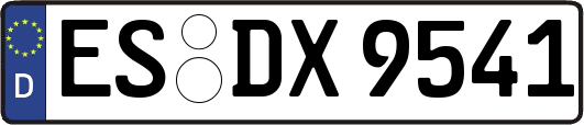 ES-DX9541