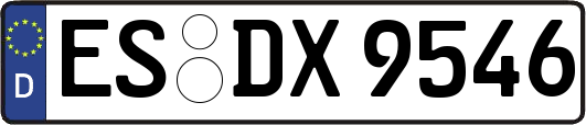 ES-DX9546