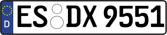 ES-DX9551