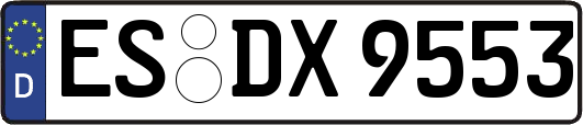 ES-DX9553