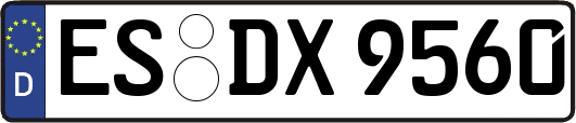ES-DX9560