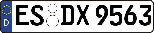 ES-DX9563