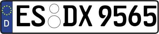 ES-DX9565
