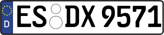 ES-DX9571