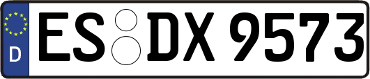 ES-DX9573