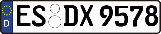 ES-DX9578