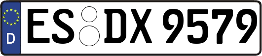 ES-DX9579